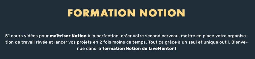 formation notion livementor