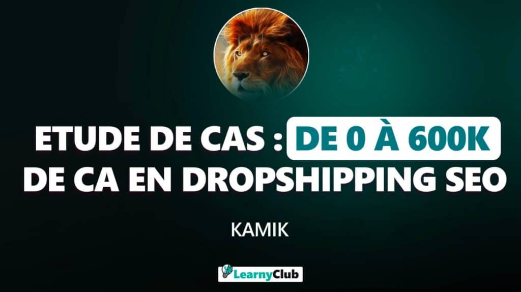 etude de cas de 0 a 600 000€ de ca en dropshipping seo