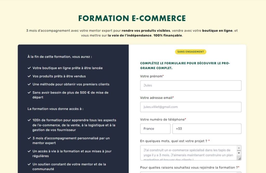 interface livementor ecommerce